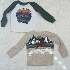 2 Long Sleeve 2T shirts.
